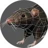 low-poly rat