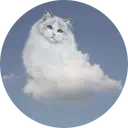 a cloud with a cat face